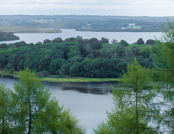 Carrickreagh Viewpoint