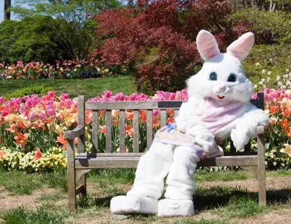 Easter Bunny