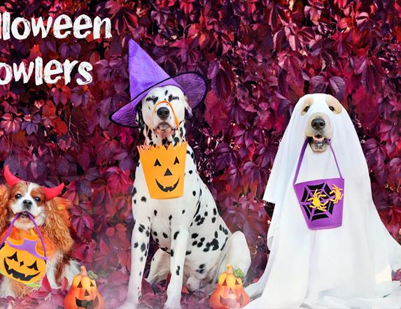 Halloween Howlers