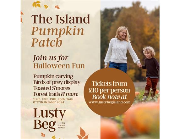 The Island Pumpkin Patch - Lusty Beg Island