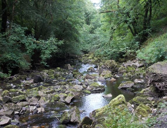 Claddagh Glen