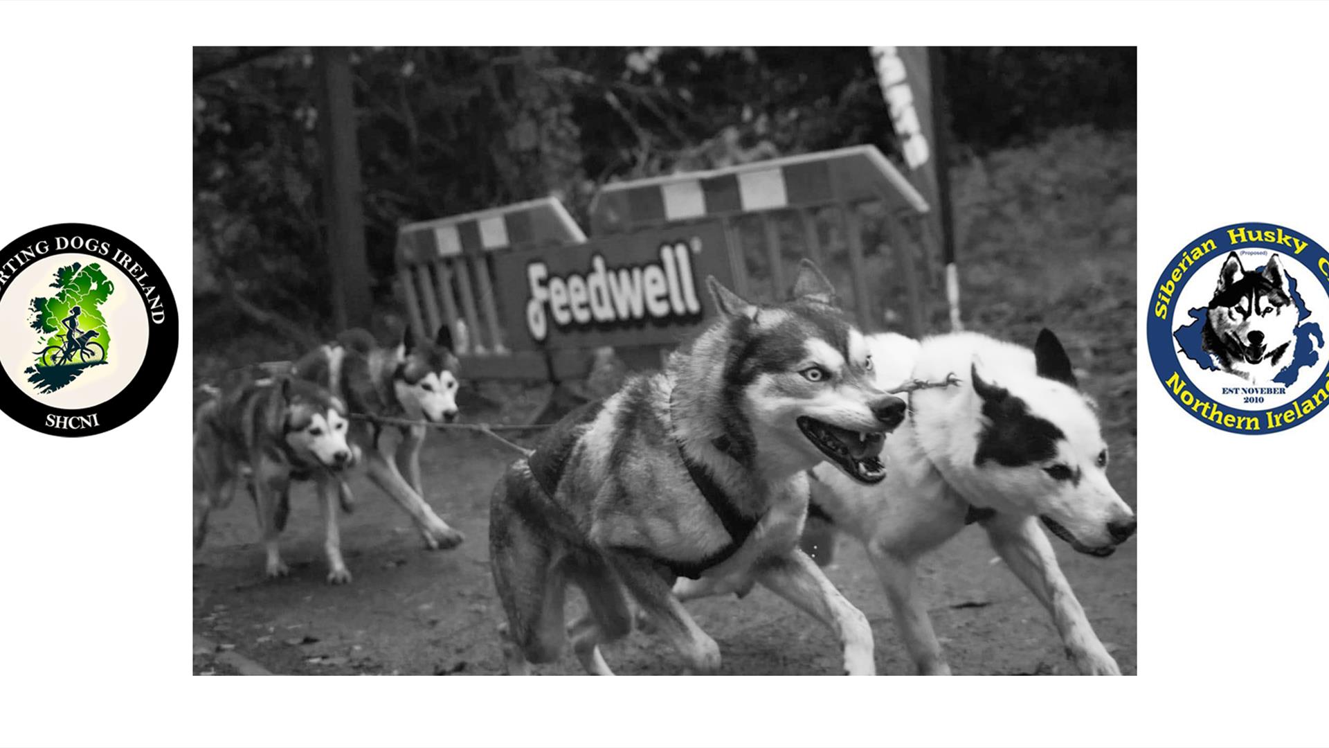 Castle Caldwell Sleddog Race