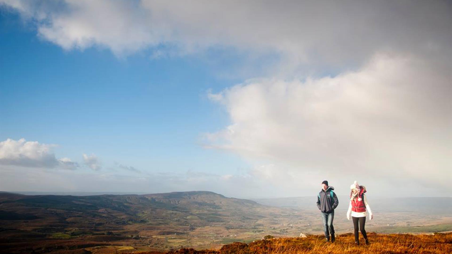 Bogs are a part of the Geoparks most stunning landscapes