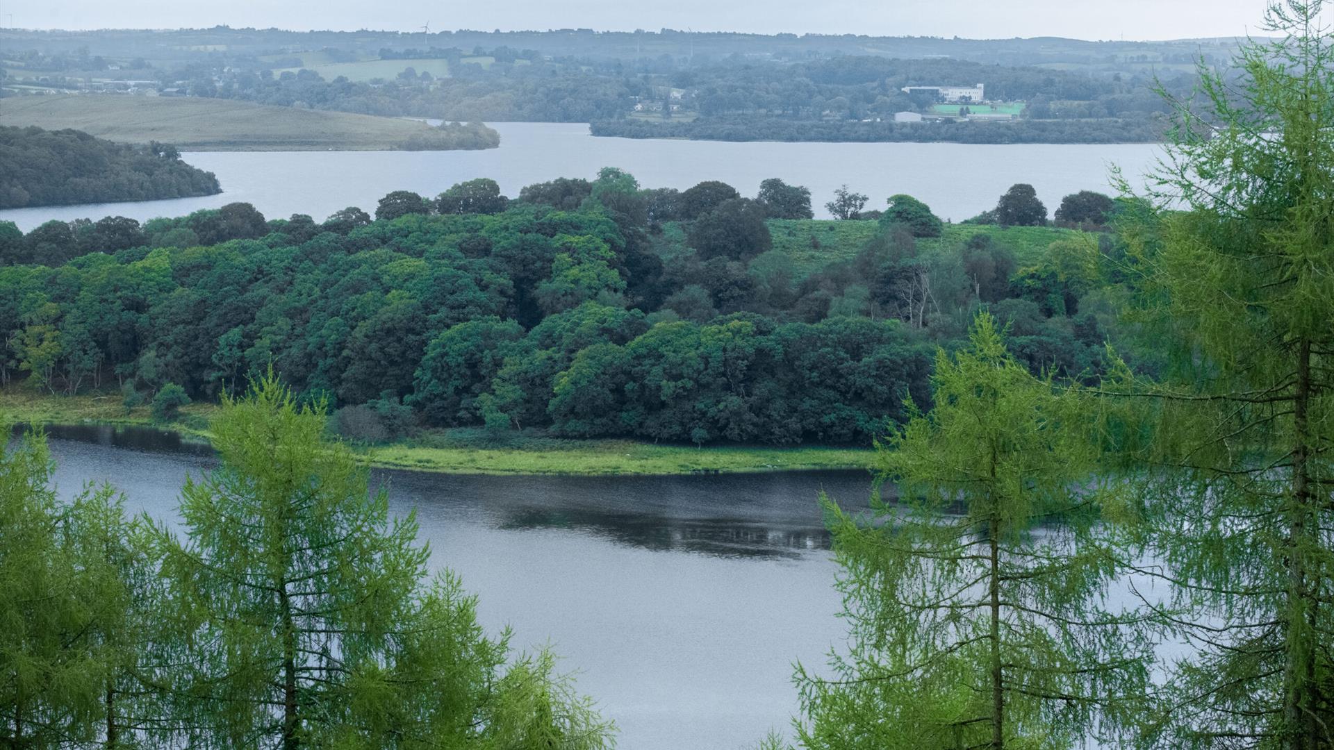 Carrickreagh Viewpoint