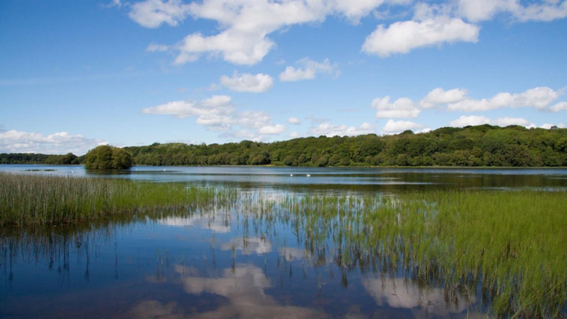 Ely Lodge Shoreline.