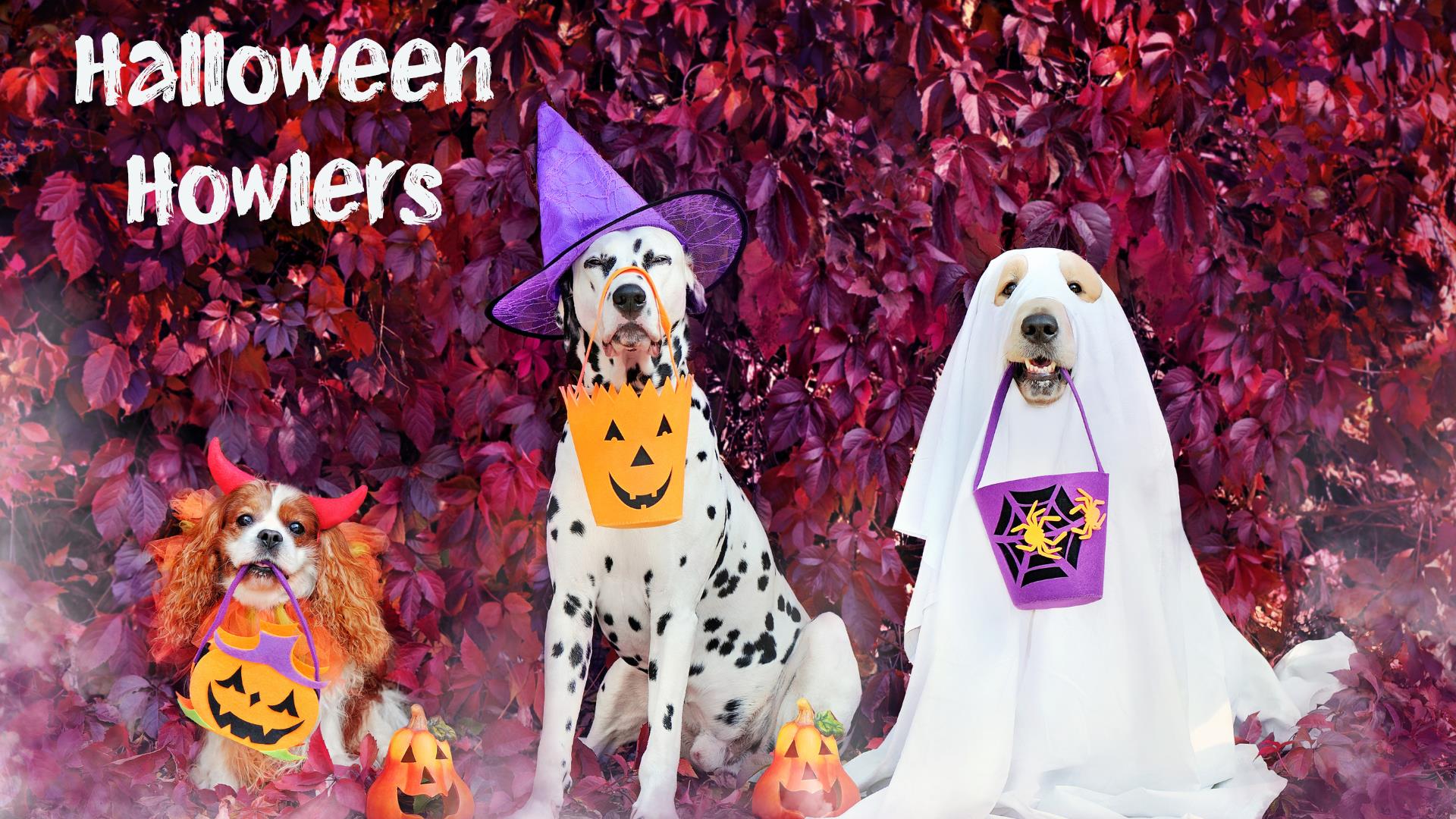 Halloween Howlers