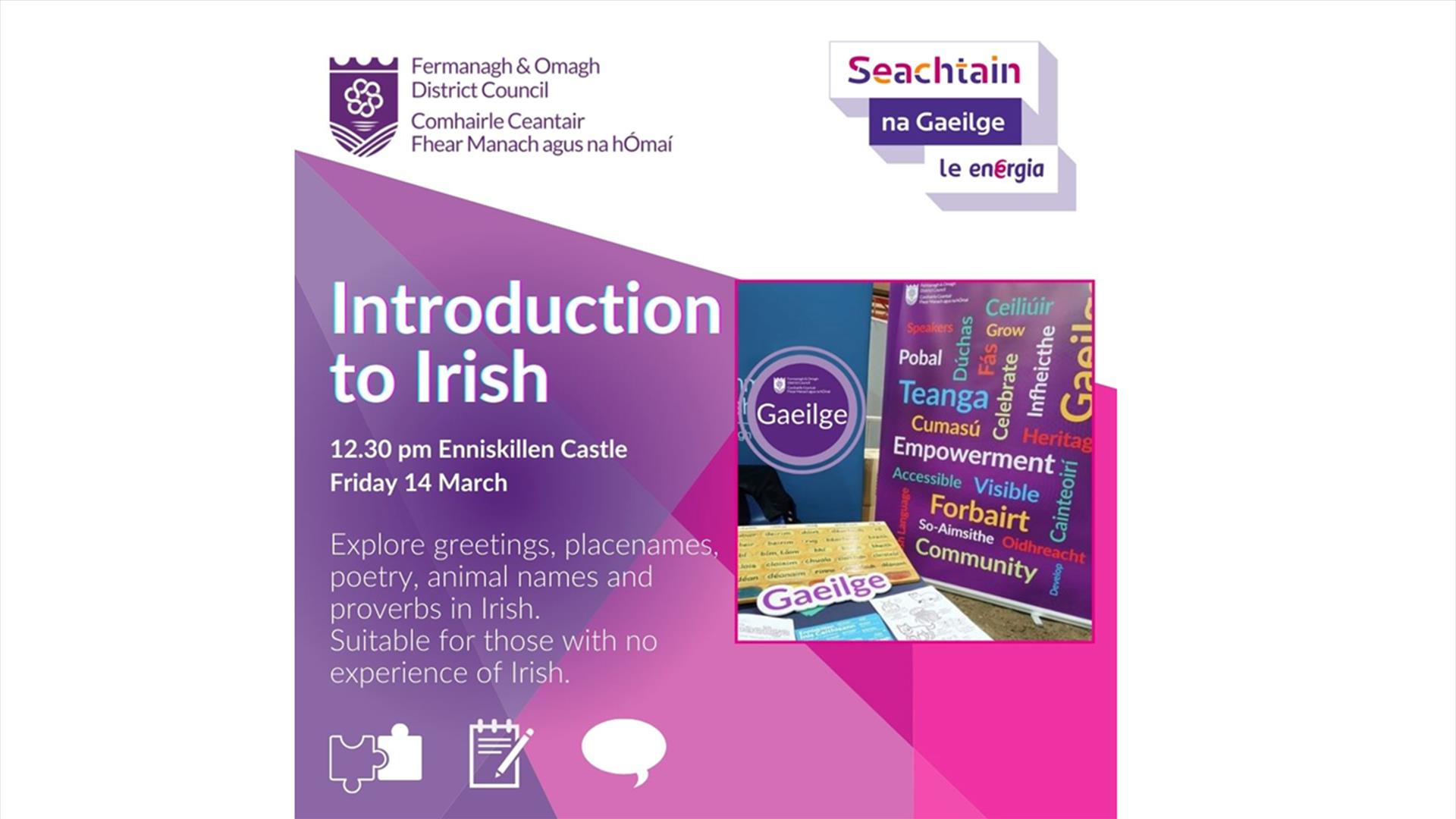 Introduction to Irish - Enniskillen Castle 14th March 2025