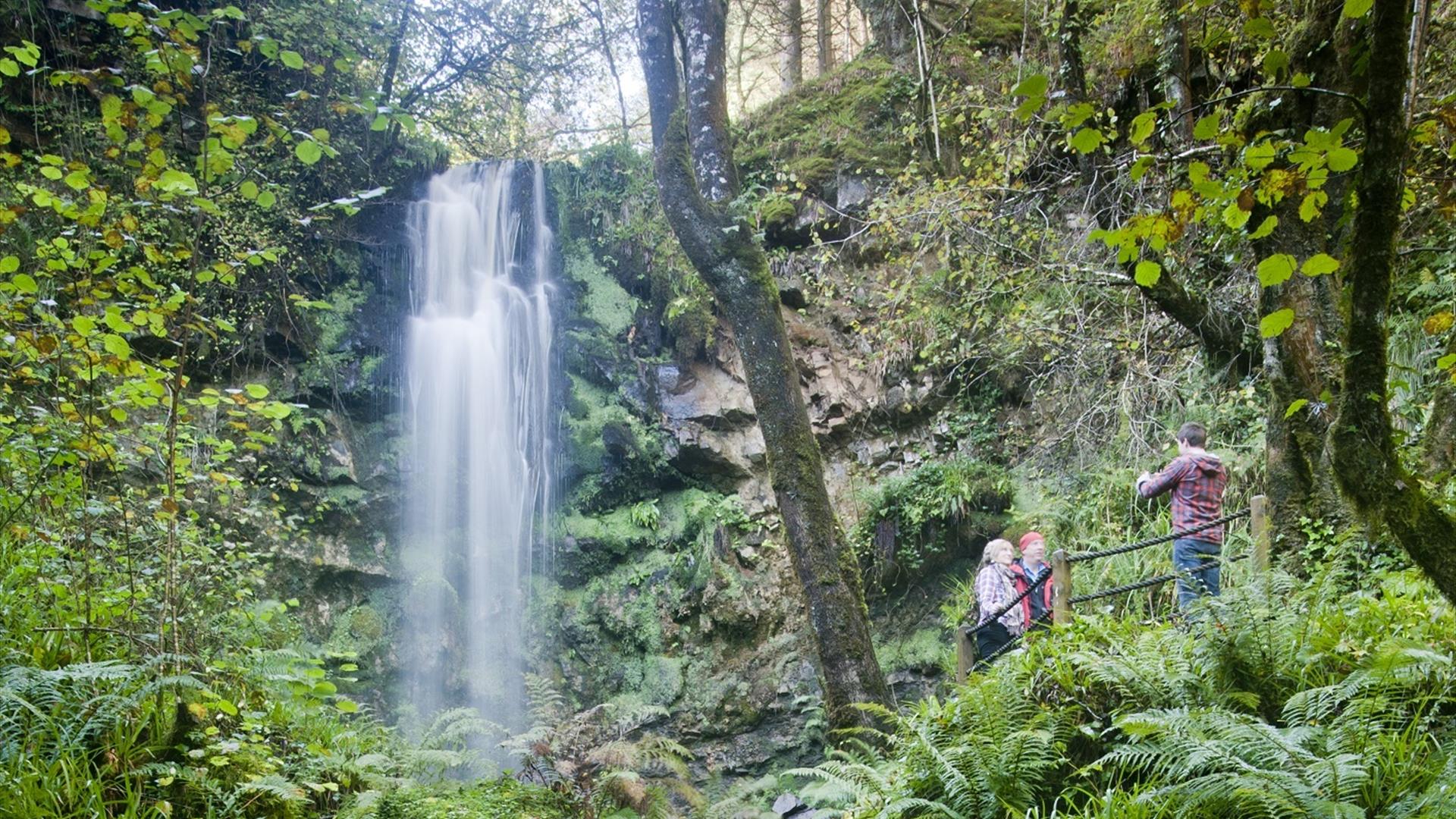 Lough Navar Forest Waterfall.