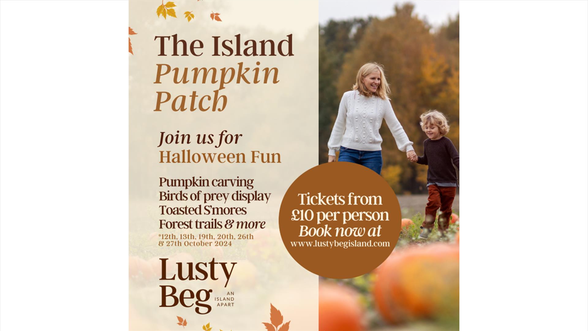 The Island Pumpkin Patch - Lusty Beg Island