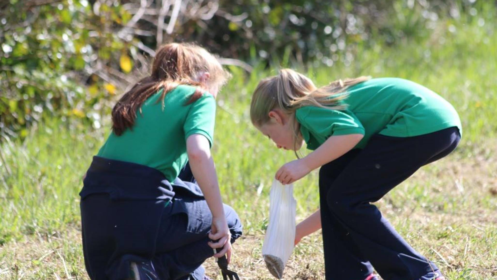 Citizen Science FIT counts