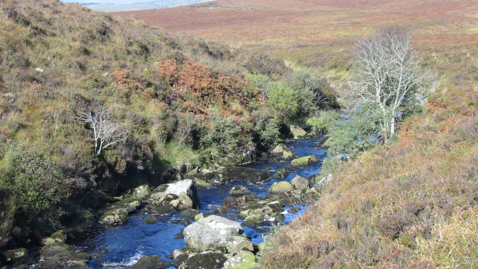 Owenbreen River