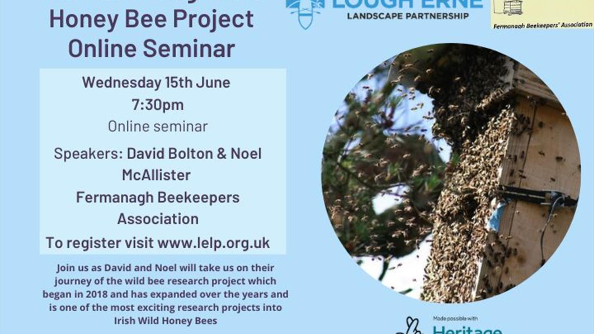 Fermanagh Wild Bee Project