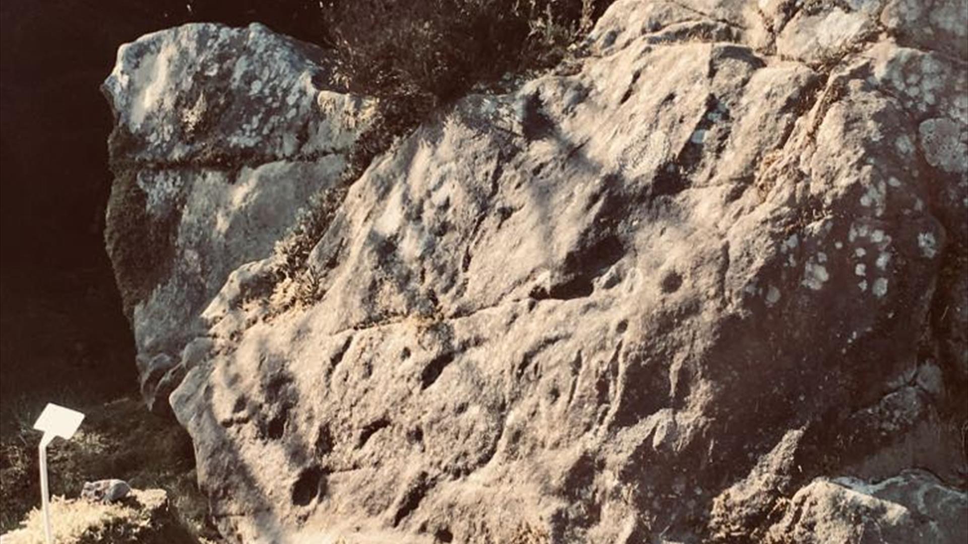 Rock art at Cavan Burren Park