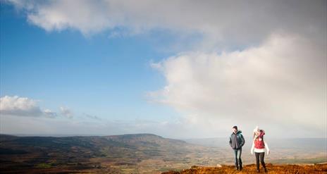 Bogs are a part of the Geoparks most stunning landscapes