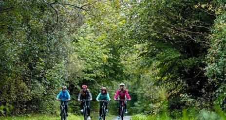 Woodland Cycling