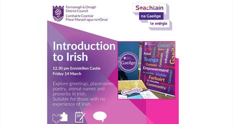 Introduction to Irish - Enniskillen Castle 14th March 2025