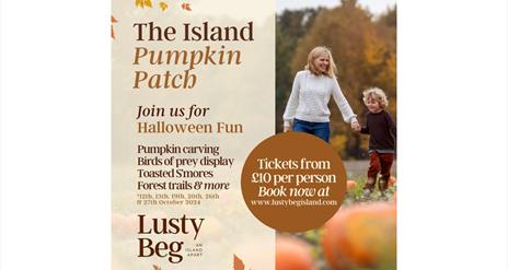 The Island Pumpkin Patch - Lusty Beg Island