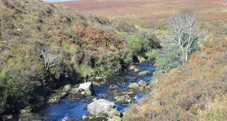 Owenbreen River.