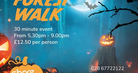 Haunted Forest Walk at Share Discovery Village