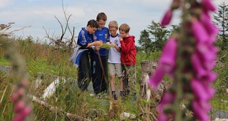 Summer Camp at the Cavan Burren