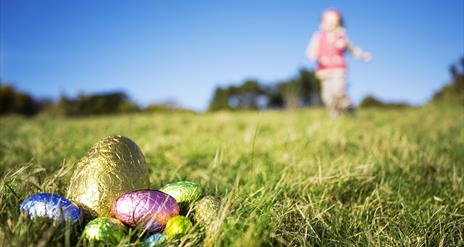 Easter Eggstravaganza at Share Discovery Village