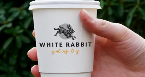 White Rabbit