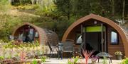 Glamping pods