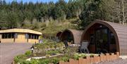 Glamping pods