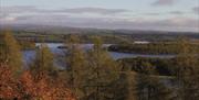 Carrickreagh Viewpoint