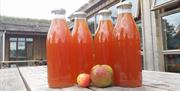 Bottles of freshly juiced apple juice