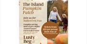 The Island Pumpkin Patch - Lusty Beg Island