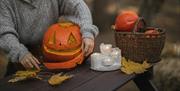 The Island Pumpkin Patch @ Lusty Beg Island