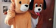 Teddy & Dog Mascots