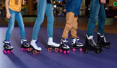 Festive Roller Rink at Share Discovery Village