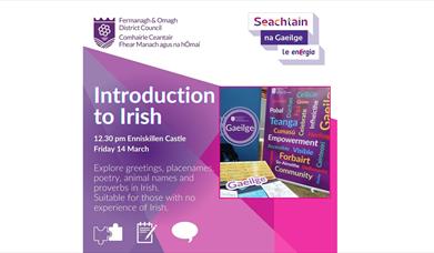 Introduction to Irish - Enniskillen Castle 14th March 2025