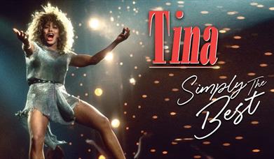 TinaTurnerTribute