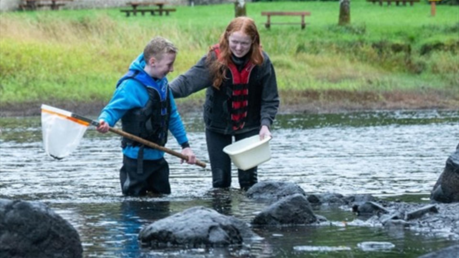 Pond Dipping Pond Dipping